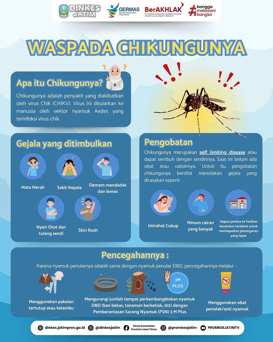 WASPADA CHIKUNGUNYA